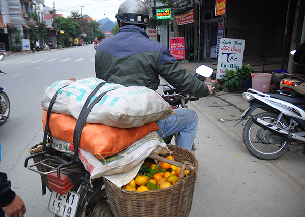 chum anh: de me quyt vang bac son, moi nhin da ua nuoc mieng hinh anh 6