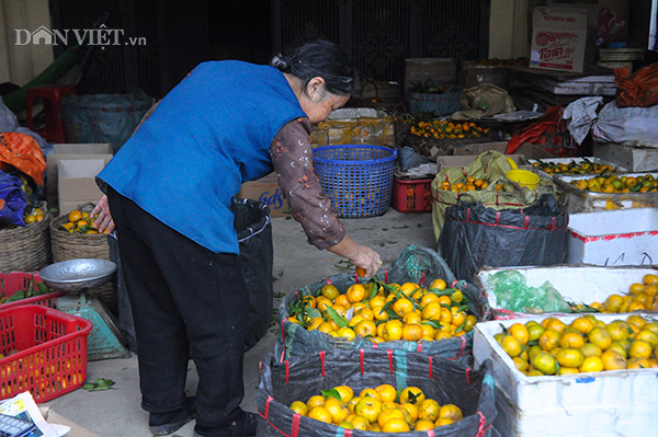 chum anh: de me quyt vang bac son, moi nhin da ua nuoc mieng hinh anh 5