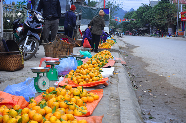 chum anh: de me quyt vang bac son, moi nhin da ua nuoc mieng hinh anh 2