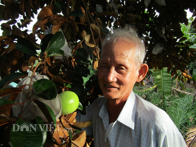 lam giau o nong thon: trong 7 cong vu sua bo hong, loi 400 trieu/nam hinh anh 1