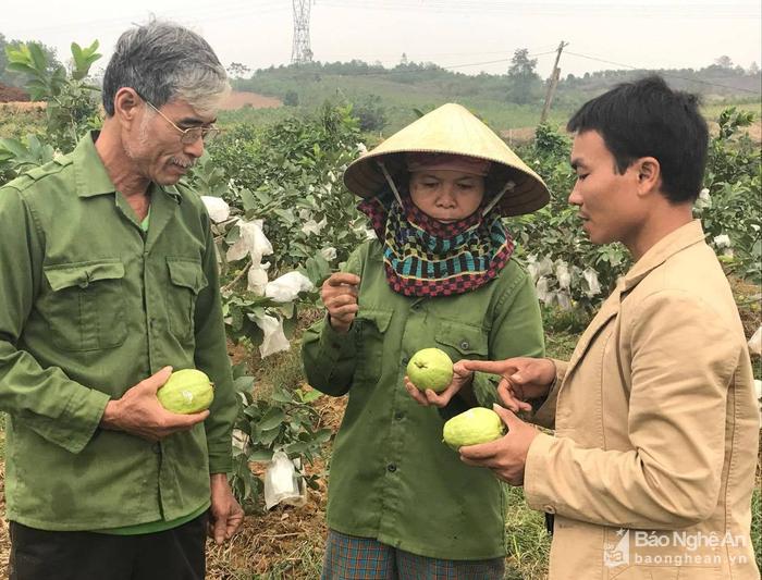 dan tem cho oi le, dung dien thoai 