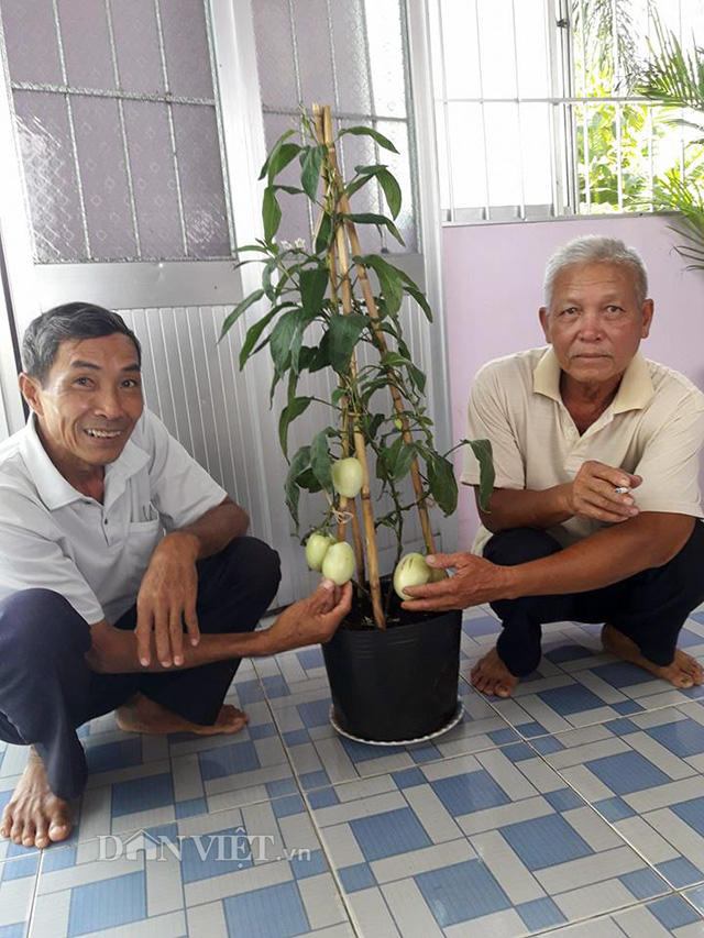 kieng dua ti hon 
