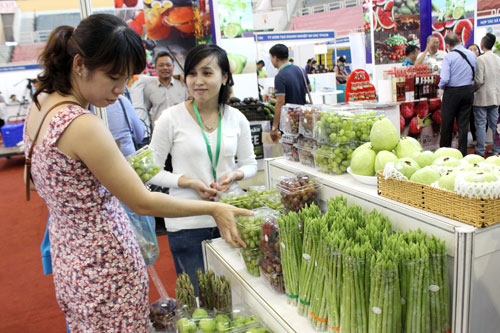 “se duyen” ho san xuat va nguoi mua nong san: 500 hop dong duoc ky hinh anh 1