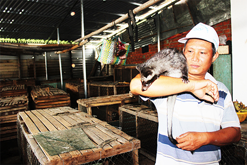 la ma hay: cho chon huong an chuoi va chao ca, lai 400 trieu/nam hinh anh 1