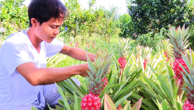 chua den tet ma khom son thai da duoc 