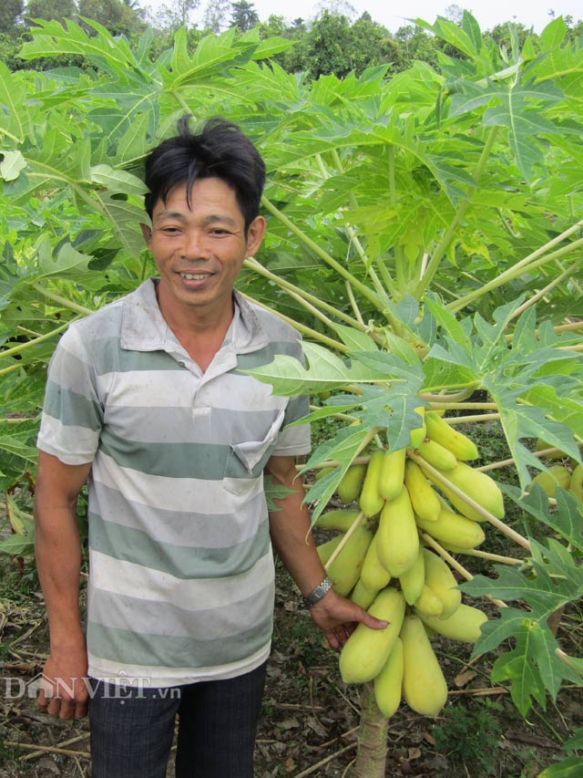 lam giau o nong thon: trong du du vang san sang 