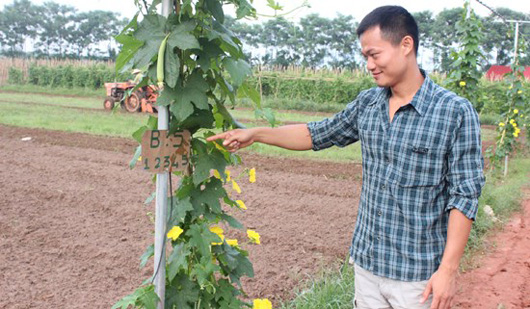 thuc pham sach an tet: du hoc chau au ve lam rau sach, hai chang trai que quan ho thu tien ty/nam hinh anh 2