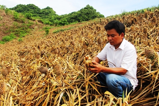 bao dong quat, dua bi ke xau pha lien tuc, nong dan hoang mang hinh anh 2