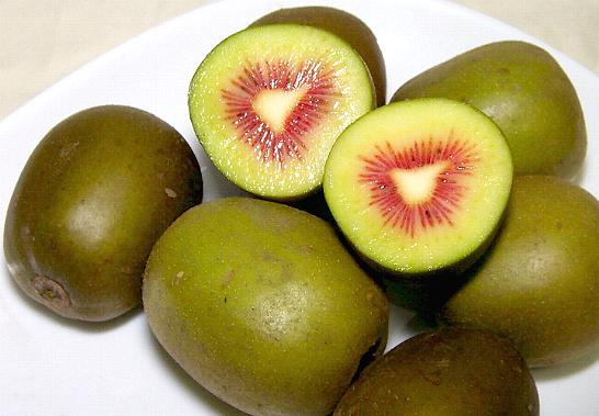 phat cuong vi kiwi cau vong thuong hang, gia 1,6 trieu dong/kg hinh anh 2