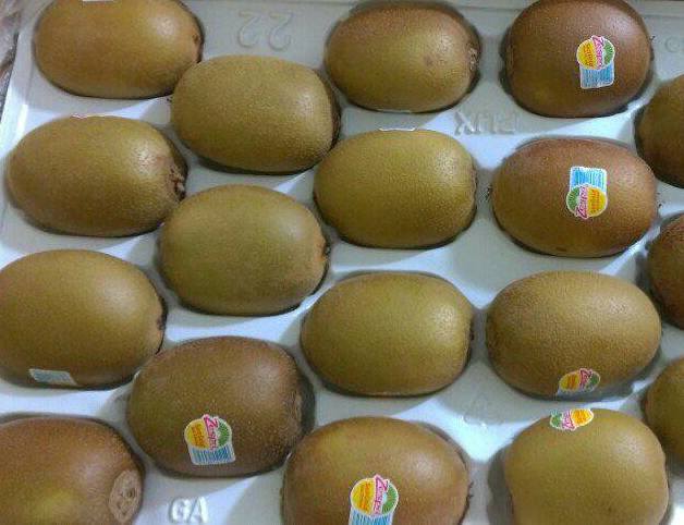 phat cuong vi kiwi cau vong thuong hang, gia 1,6 trieu dong/kg hinh anh 3