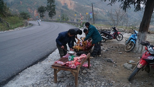 trau, nghe nga vat xuong chet ret, nuoc mat nha nong dong bang hinh anh 3