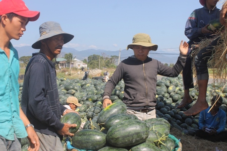 o noi kho han nhat viet nam, nong dan van 