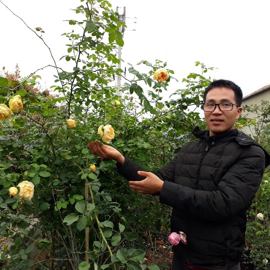 kiem tram trieu moi nam nho ky thuat nhan giong hoa hong ngoai hinh anh 5