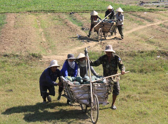 quang ngai: bat chap canh bao, hang ngan tan dua lai cho giai cuu hinh anh 3