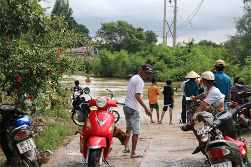 xot xa: thanh long chim trong bien nuoc, dan cat voi vot vat hinh anh 8