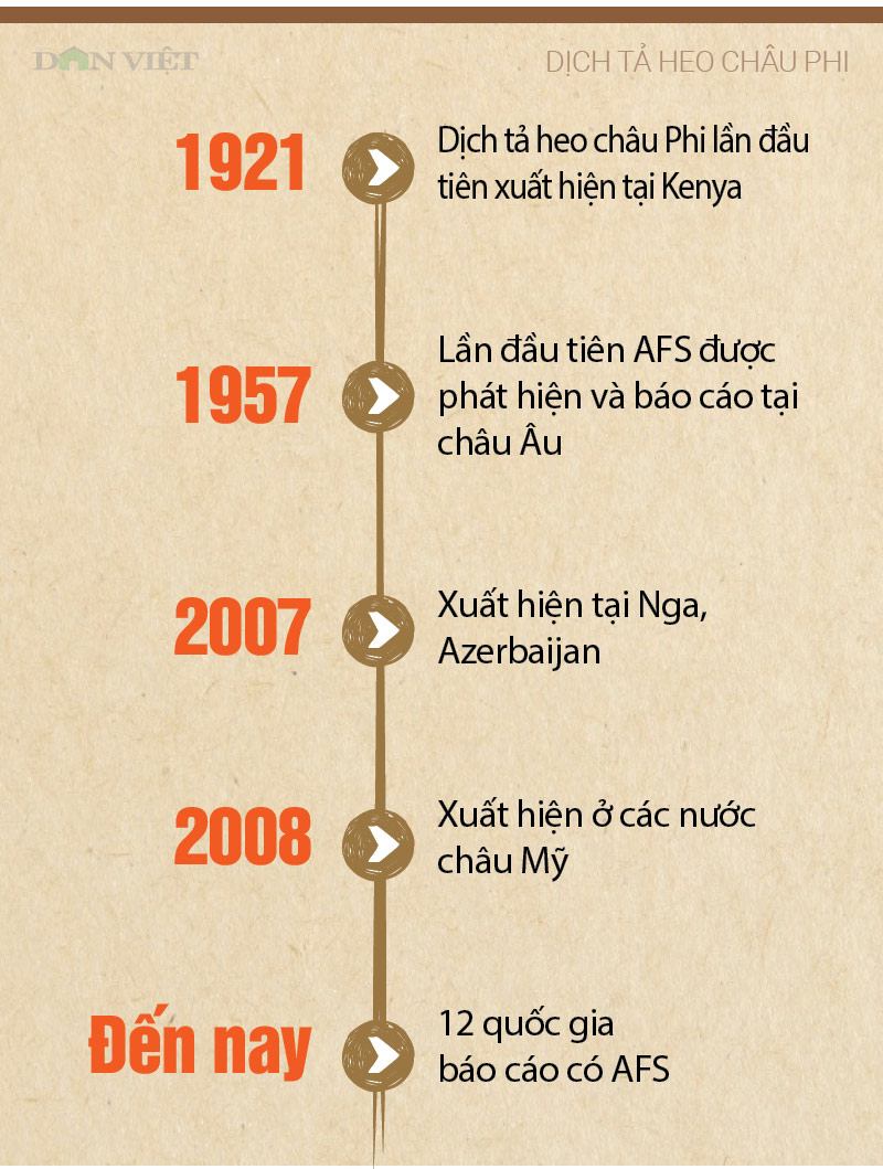 infographic: sos bao dong tu dich ta lon chau phi da sat viet nam hinh anh 2