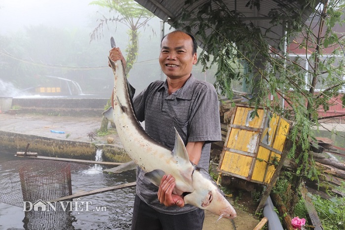 lai 3 ty dong/nam deu nhu 