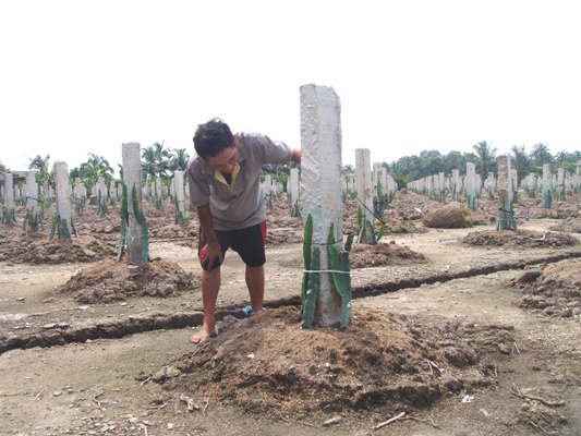 lo trung quoc khong 