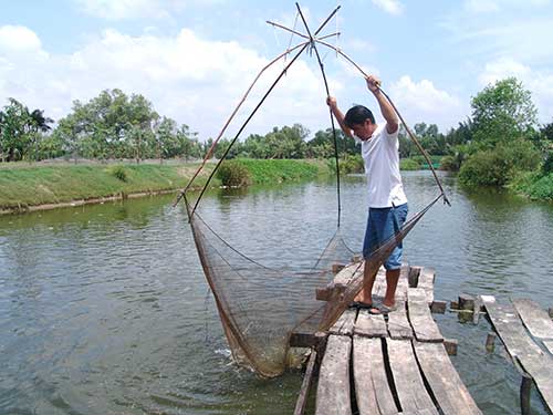 la ma hay: nuoi ca bang... banh bao, ong tu lai tien ty hinh anh 2