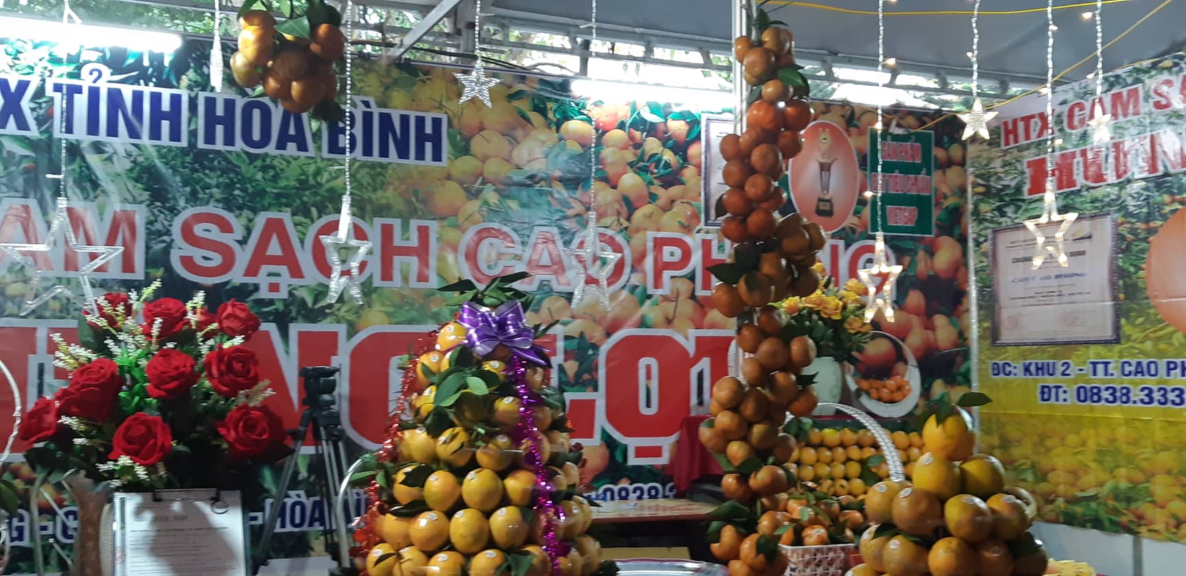 Hòa Bình: Thủ phủ cam Cao Phong tưng bừng mở hội cây có múi hình ảnh 5 hoa binh: thu phu cam cao phong tung bung mo hoi cay co mui hinh anh 5