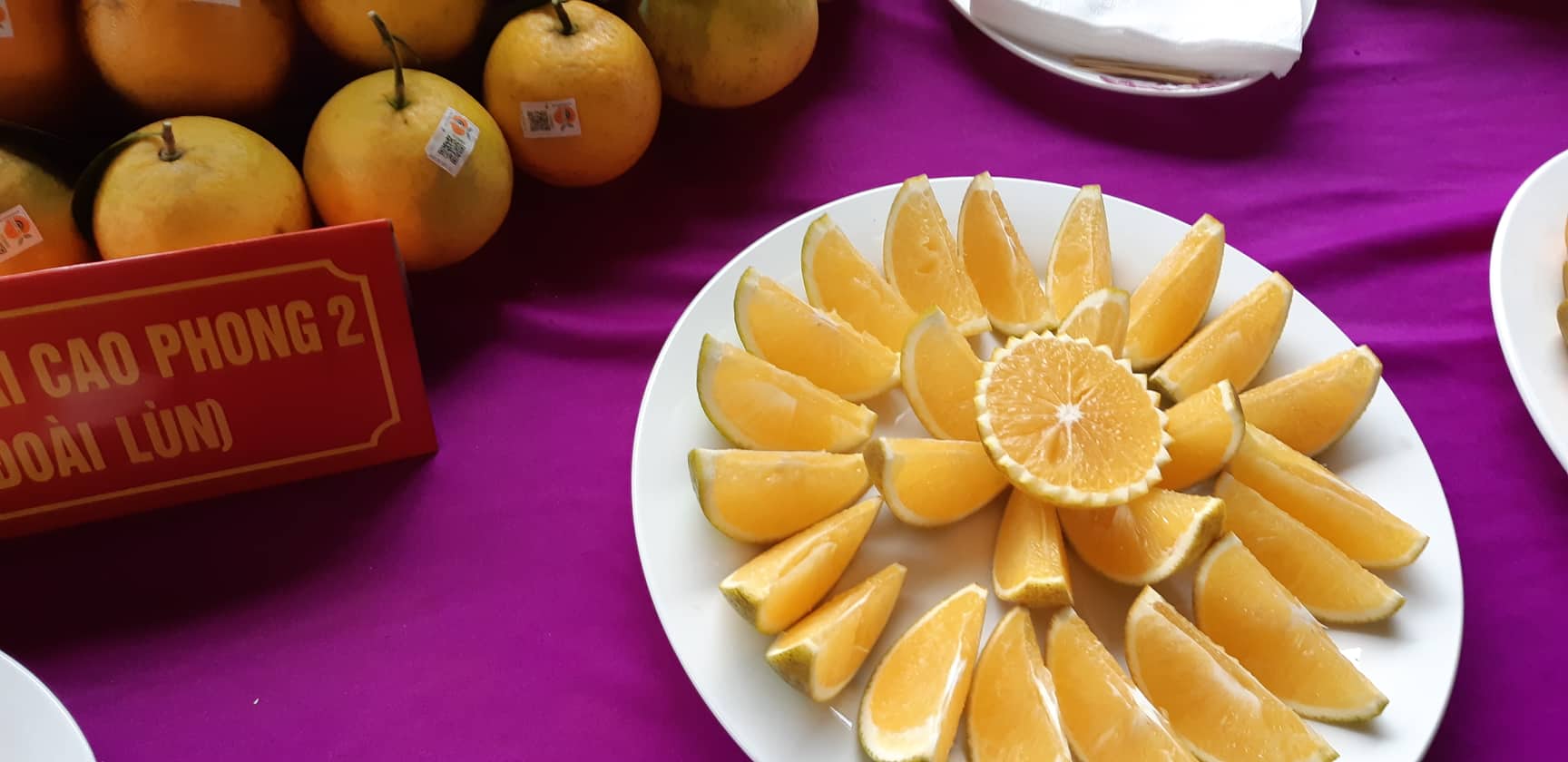 Hòa Bình: Thủ phủ cam Cao Phong tưng bừng mở hội cây có múi hình ảnh 3 hoa binh: thu phu cam cao phong tung bung mo hoi cay co mui hinh anh 3