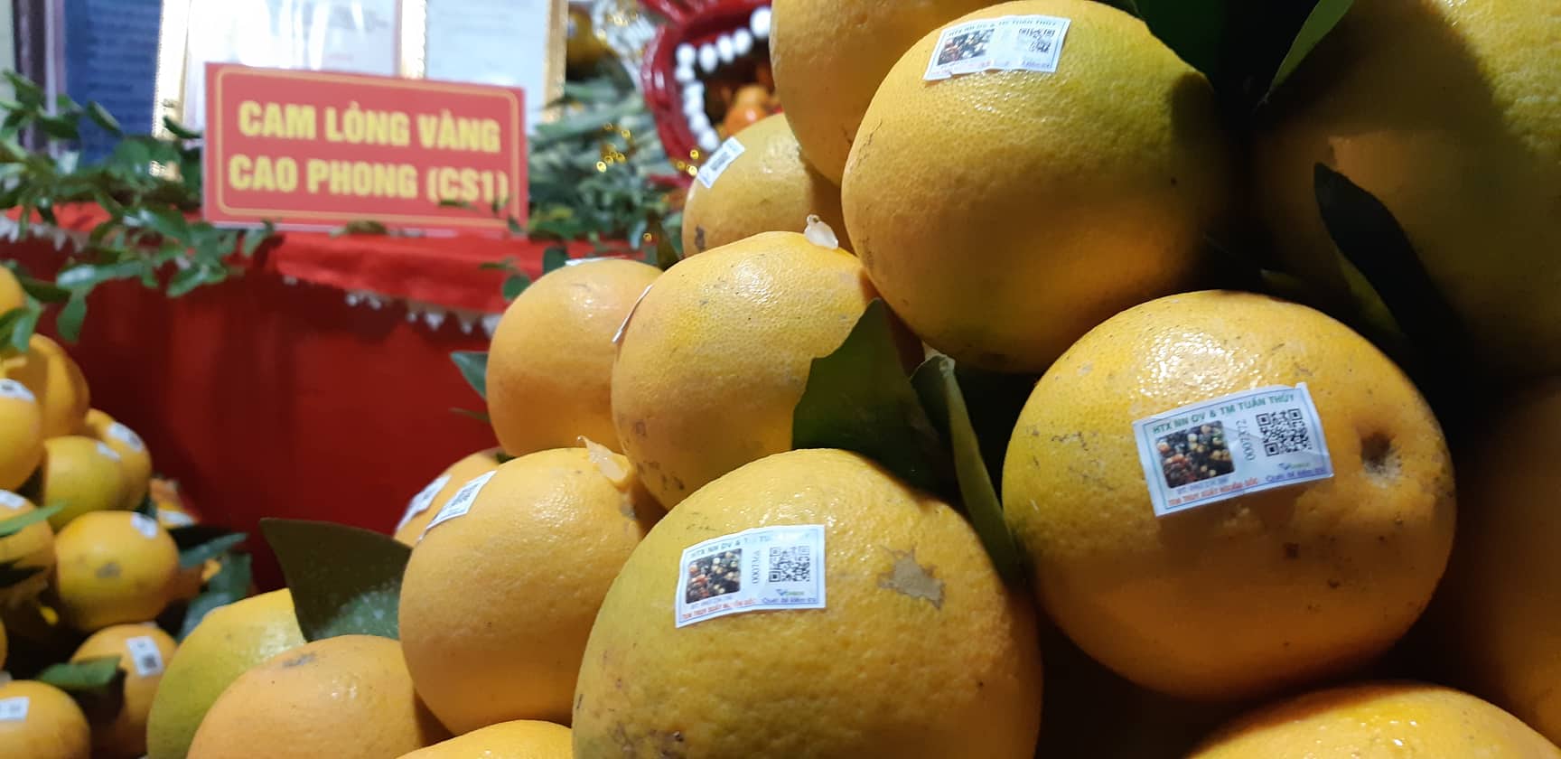 Hòa Bình: Thủ phủ cam Cao Phong tưng bừng mở hội cây có múi hình ảnh 6 hoa binh: thu phu cam cao phong tung bung mo hoi cay co mui hinh anh 6