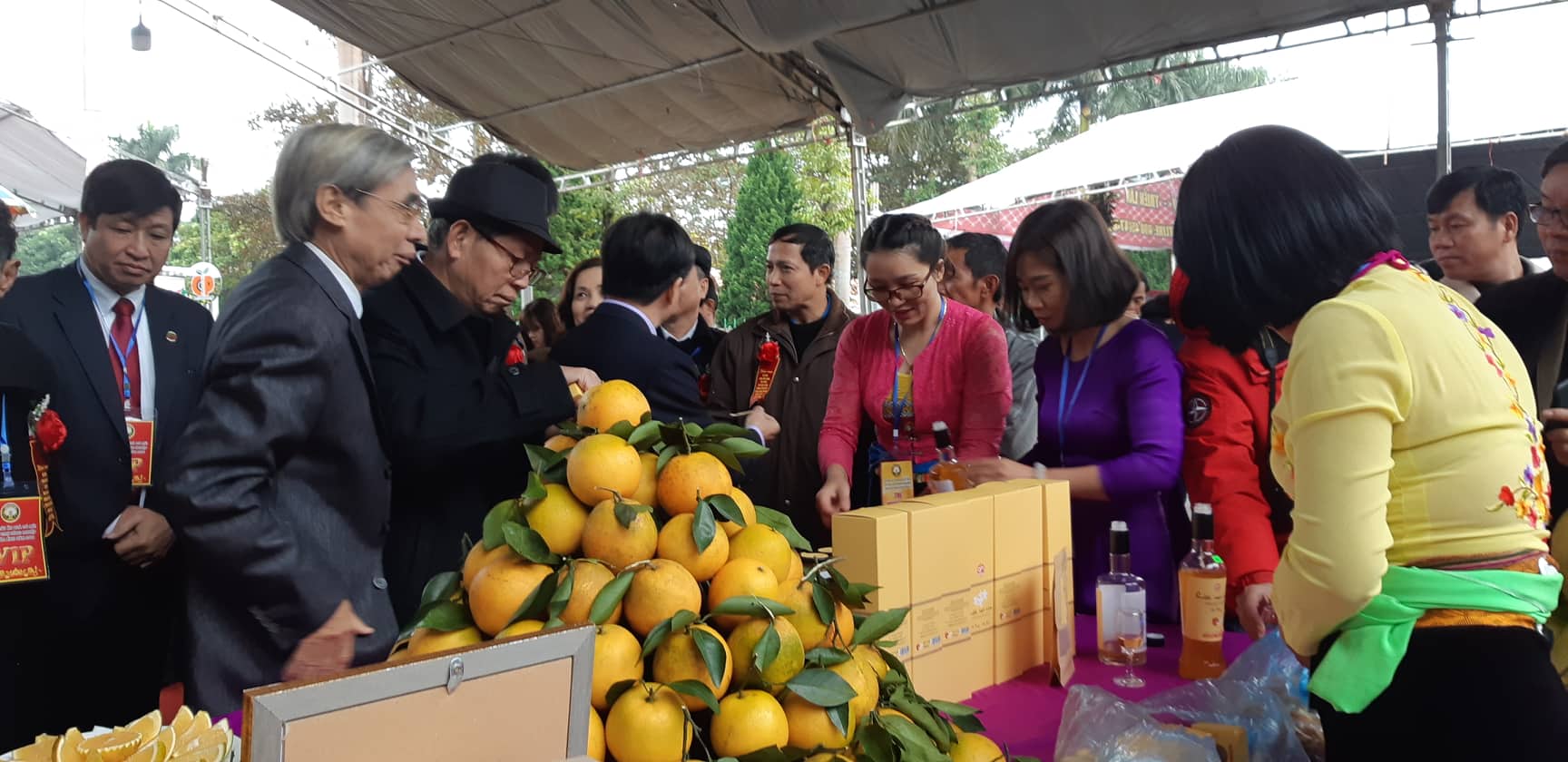 Hòa Bình: Thủ phủ cam Cao Phong tưng bừng mở hội cây có múi hình ảnh 4 hoa binh: thu phu cam cao phong tung bung mo hoi cay co mui hinh anh 4
