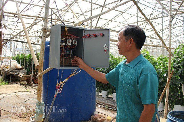 u50 thu 30 trieu/thang nho trong ot chuong trai do nhu son hinh anh 2