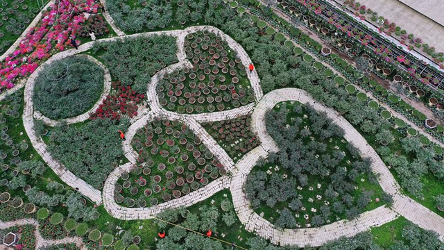 Lạc lối trong vườn hoa hồng trái tim tuyệt đẹp thu lãi tiền tỷ/năm hình ảnh 1 lac loi trong vuon hoa hong trai tim tuyet dep thu lai tien ty/nam hinh anh 1