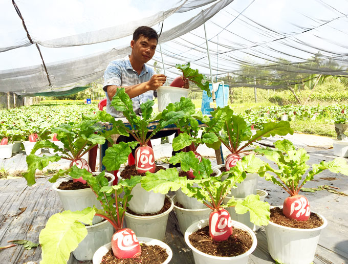 dang gay sot ngo ngang: cu cai hong phat bonsai chung tet 2019 hinh anh 8