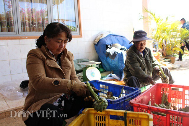 chang kien truc su lam giau voi cay atiso kieu... khac nguoi hinh anh 3