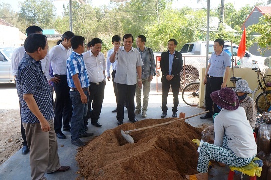 bi thu quang nam: dua nam lim xanh, nam linh chi ra 