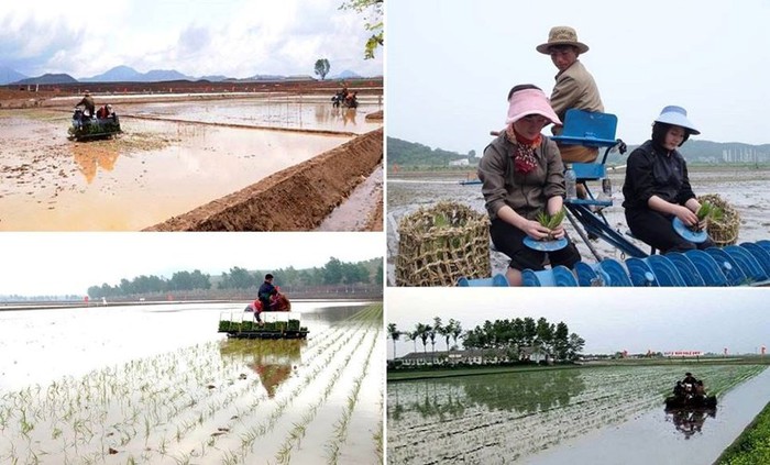 binh di nong thon trieu tien duoi thoi ong kim jong - un hinh anh 5