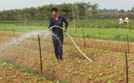 Nông dân ứng dụng công nghệ cao vào sản xuất