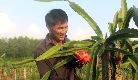 lam giau o vung dat tu be gian kho hinh anh 2