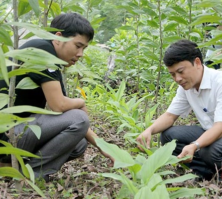 trong-gung-xen-canh-nuoi-ca