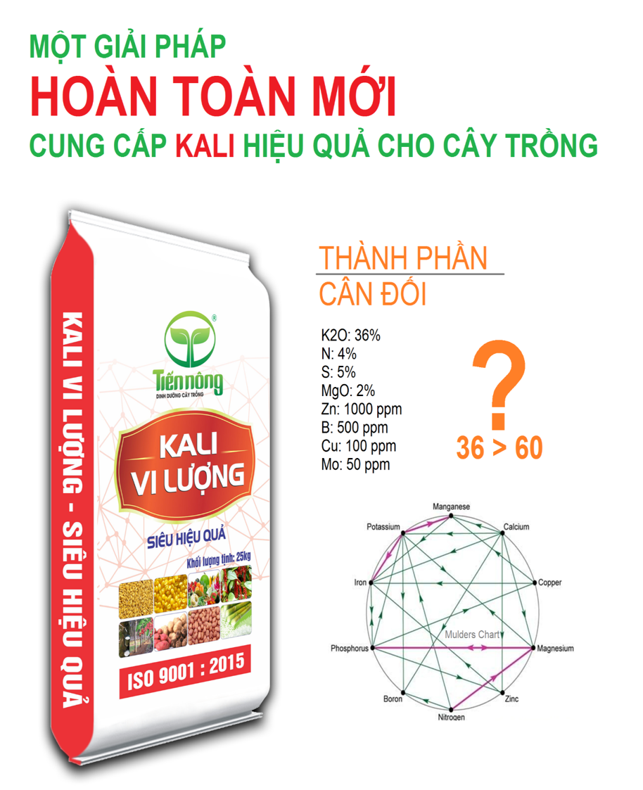 Tiến Nông ra mắt dòng sản phẩm Kali vi lượng - một giải pháp mới cung cấp kali hiệu quả cho cây trồng3