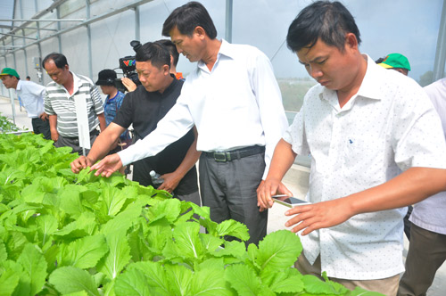 Chương trình Tự hào Nông dân Việt Nam: Bước đi để mở tầm nhìn