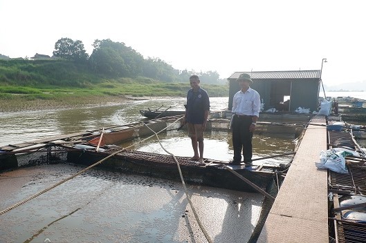 Tiết lộ tuyệt chiêu 'làm ao trên sông' giúp cá lớn nhanh như thổi
