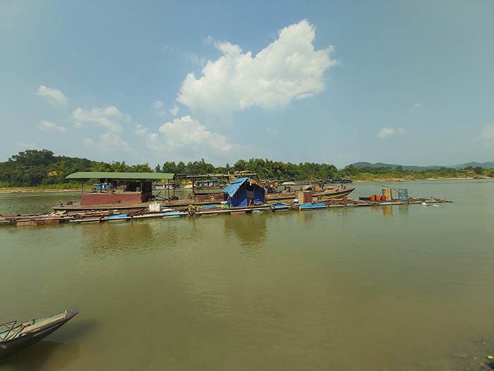 Nuôi loài cá 'chúa tể dòng sông' dân thu hàng trăm triệu đồng/năm