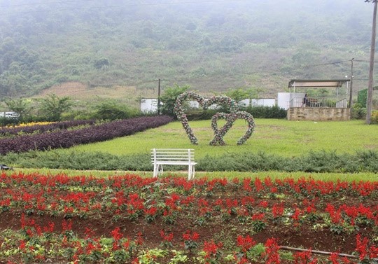 Thung lũng trăm hoa khoe sắc phát hờn của trai 'khùng' Yên Bái