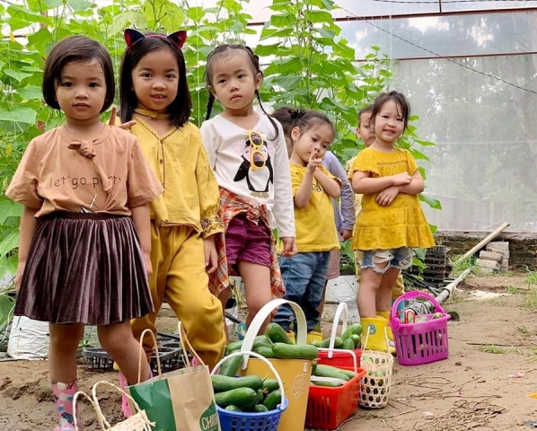 Nghệ An: Cất bằng kỹ sư xây dựng, 9X về trồng rau đẹp như tranh
