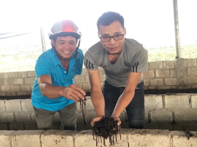 Cất bằng kỹ sư cơ khí, 8X về quê 'nghịch' phân bò, lời 50 triệu/tháng