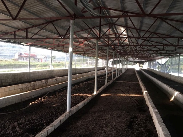 Cất bằng kỹ sư cơ khí, 8X về quê 'nghịch' phân bò, lời 50 triệu/tháng