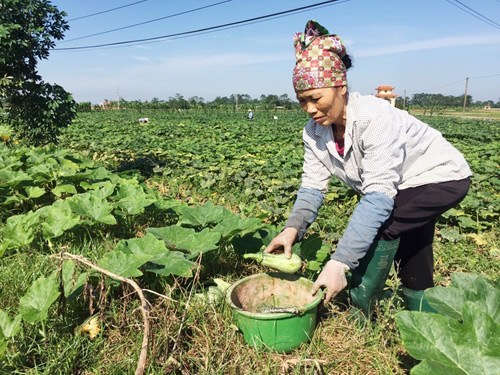 Làm nông nghiệp an toàn từ những điều nhỏ nhất