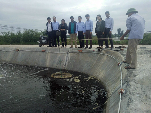 Thu lợi kép từ nuôi tôm an toàn