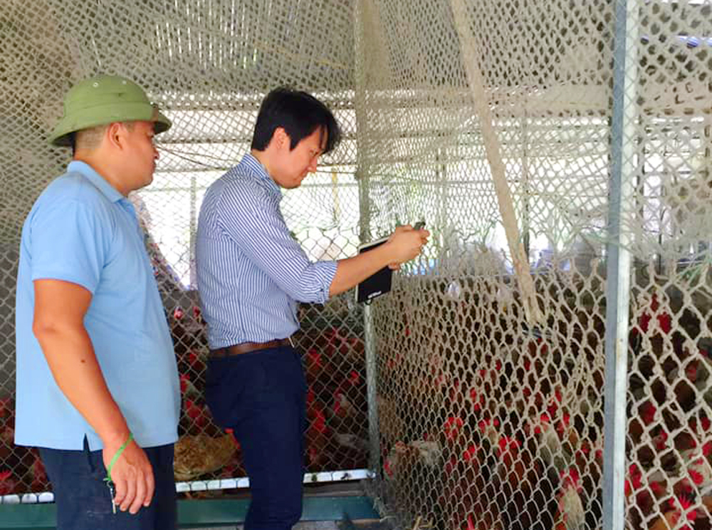 Bỏ lương nghìn đô, trai phố lên rừng nuôi...giun vẫn thành tỷ phú