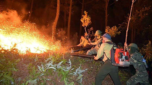 Những chiêu khắc chế 'bà hỏa' của kiểm lâm Thanh Hóa