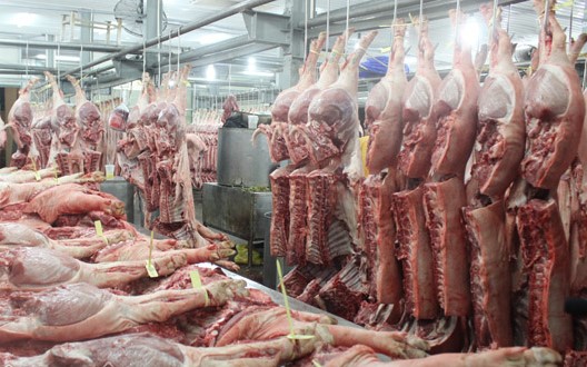 Giá heo hơi hôm nay 21/11: Mỗi nơi 1 giá, thương lái 'săn' từng con