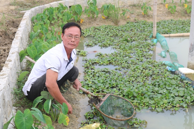 Thanh Hóa: Bỏ nghề 'thổi bễ' về nuôi con 'siêu đẻ' bán đắt tiền